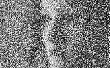 stipple